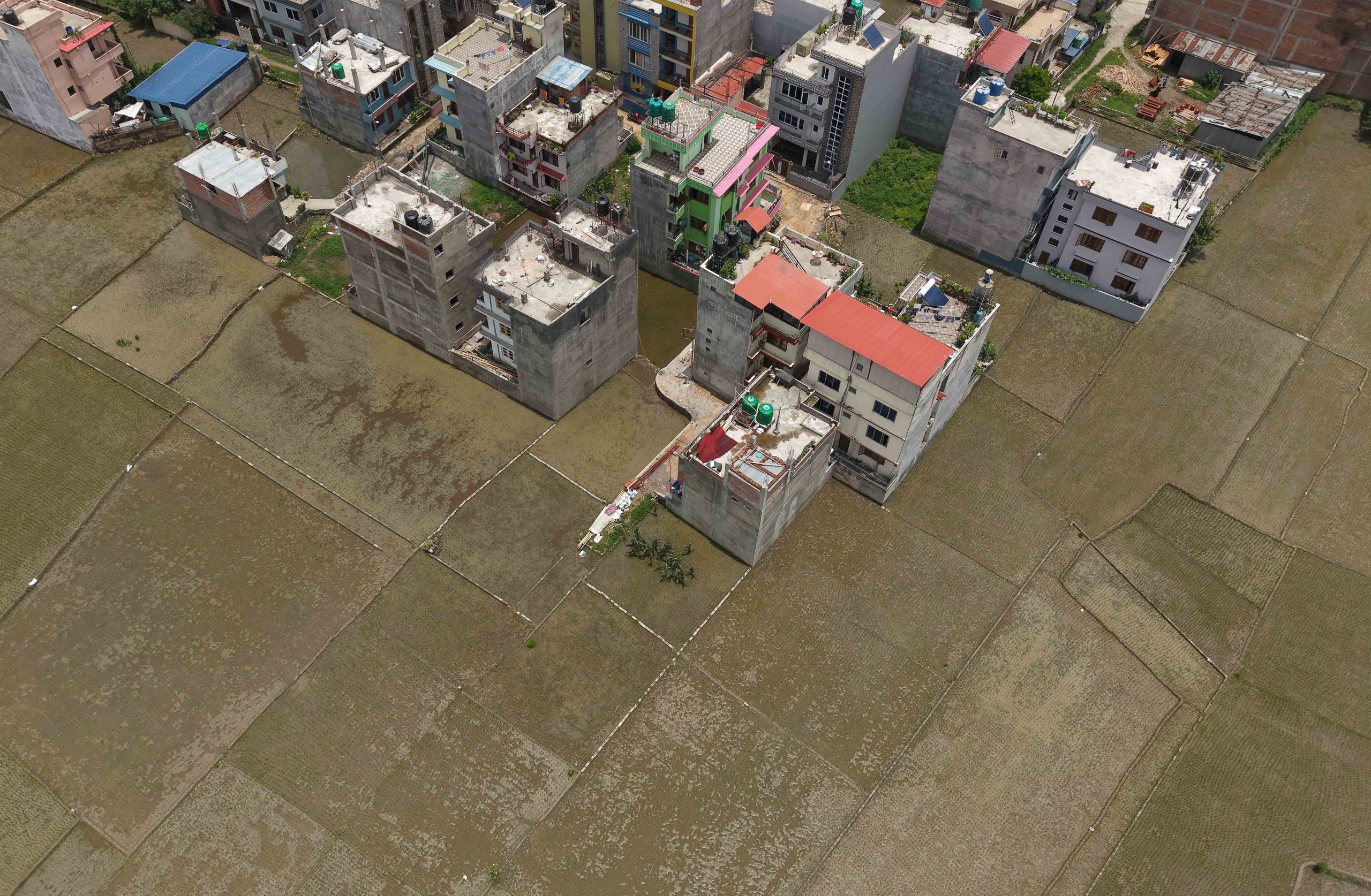 Field