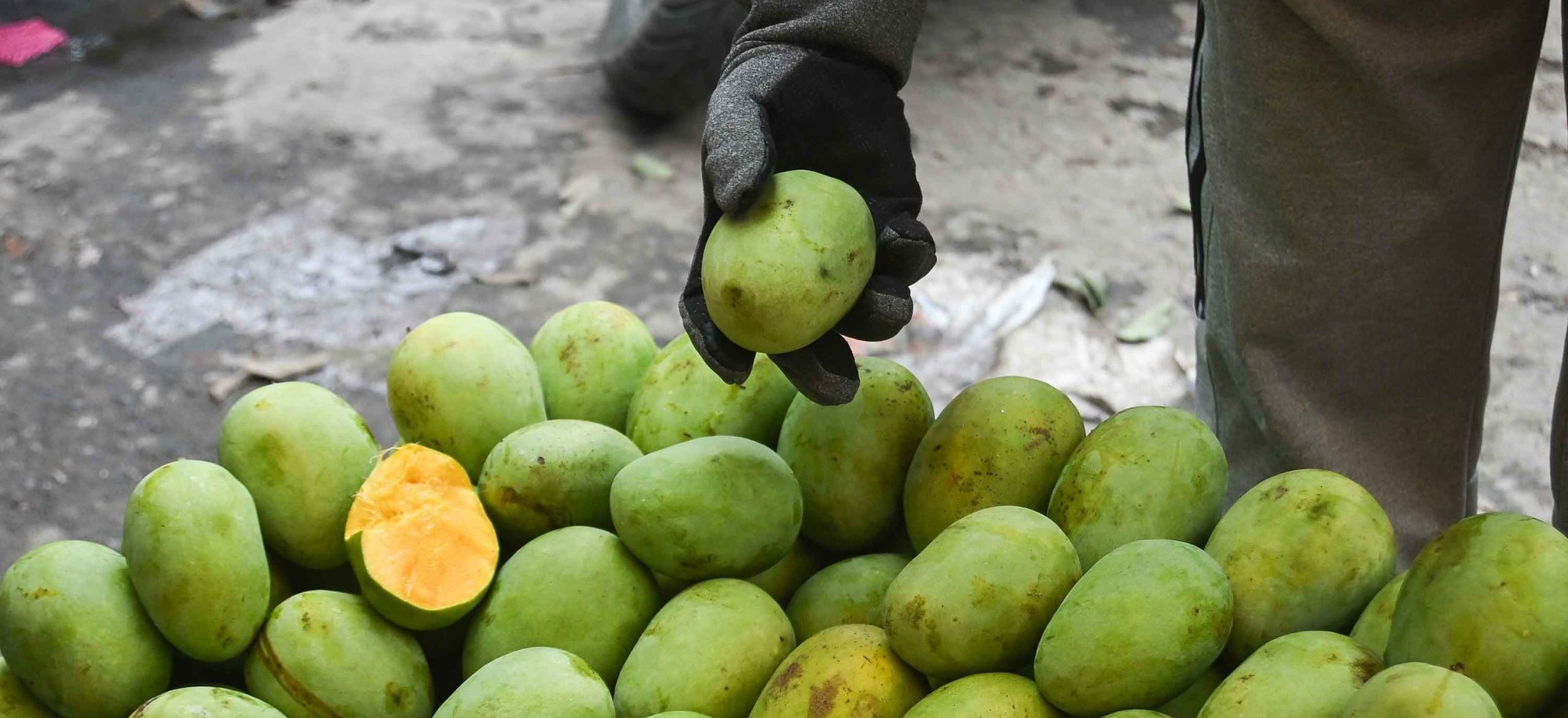 Carbide ripen mangoes in market (Photos)
